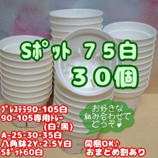 【スリット鉢】Ｓポット丸型75白30個 2.5号 プレステラ 多肉植物 プラ鉢(プランター)