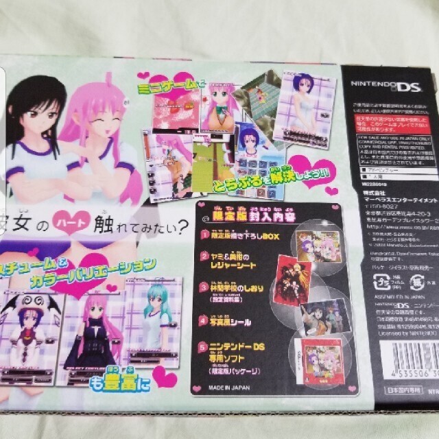 高質で安価 DSソフト ToLOVEる ワクワク 林間学校編 限定版