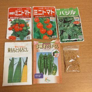 夏野菜固定種セット計60粒　送料無料　ラクマパックに変更可能(その他)