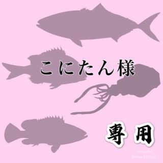 こにたん様専用、タイラバタングステンシンカー60g*2個100g120g1個ずつ(ルアー用品)