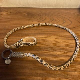 エルイーディーバイツの通販 75点 | L.E.D.BITESを買うならラクマ