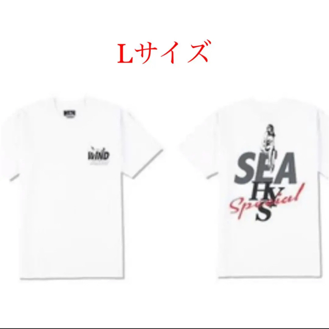 Tシャツ/カットソー(半袖/袖なし)wind and sea hysteric glamour Tシャツ　Lサイズ