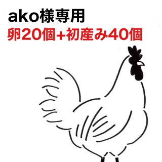 ako様専用 / 卵20個+初産み40個(野菜)