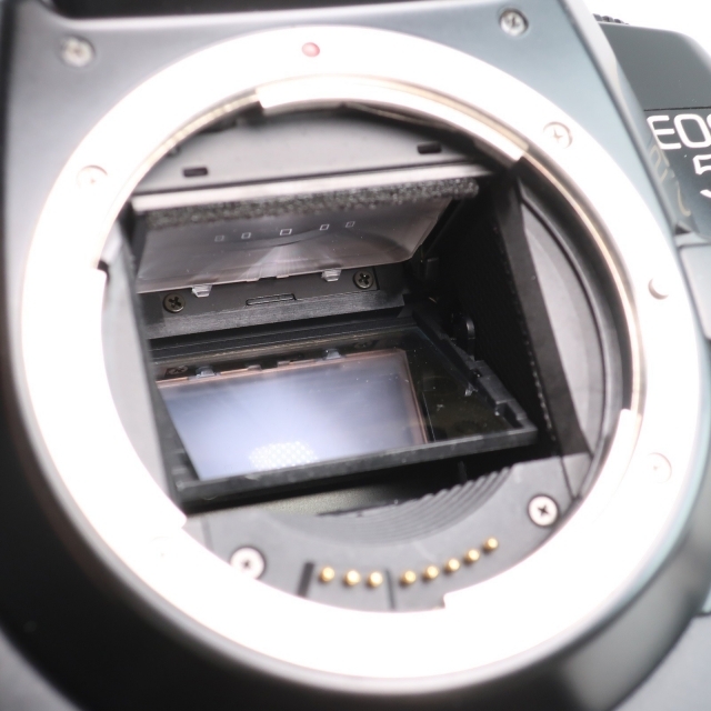 Canon EOS5 QD Quartz Date with VERTの通販 by 株式会社錦野's shop｜キヤノンならラクマ - キヤノン お得国産