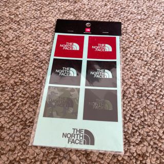 ザノースフェイス(THE NORTH FACE)のTHENORTHFACE ボックスロゴステッカーセット パタゴニア モンベル(その他)