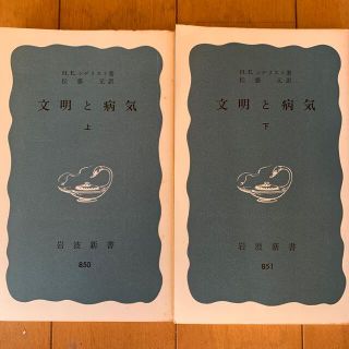 イワナミショテン(岩波書店)の文明と病気　上下の2冊　H.E.シゲリスト著　松藤元訳(人文/社会)