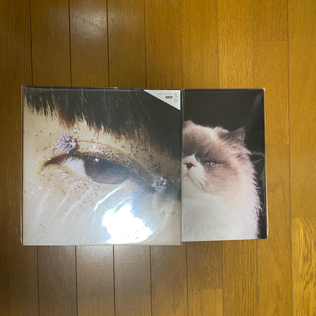 国内正規販売店】 【LP】カネコアヤノ 燦々 www.westchesterwarriors.org