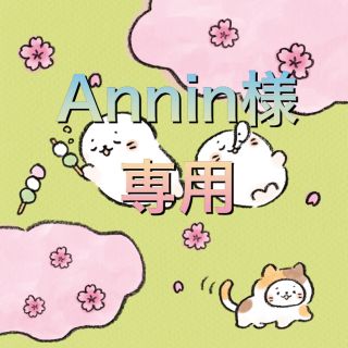 Annin様専用☆デザインB(キャラクターグッズ)