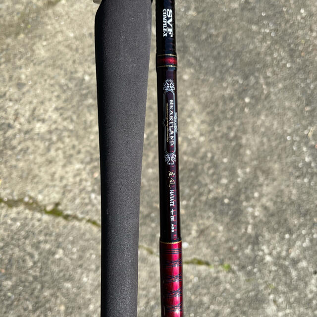 世界の DAIWA - ハートランド 疾風七伍 751HRB SV AGS 19 ロッド ...