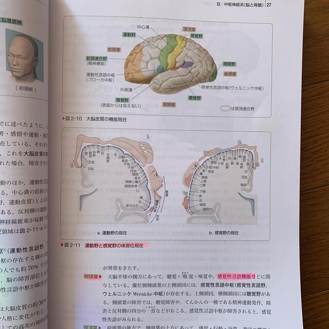 脳・神経 成人看護学　７ 第１５版 エンタメ/ホビーの本(健康/医学)の商品写真