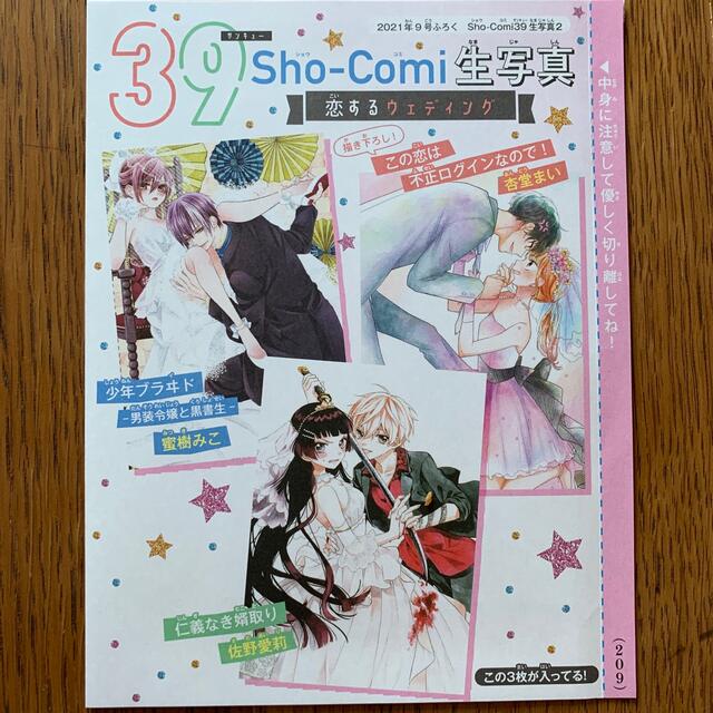 小学館(ショウガクカン)のSho-Comi 生写真　第3段 エンタメ/ホビーの漫画(少女漫画)の商品写真