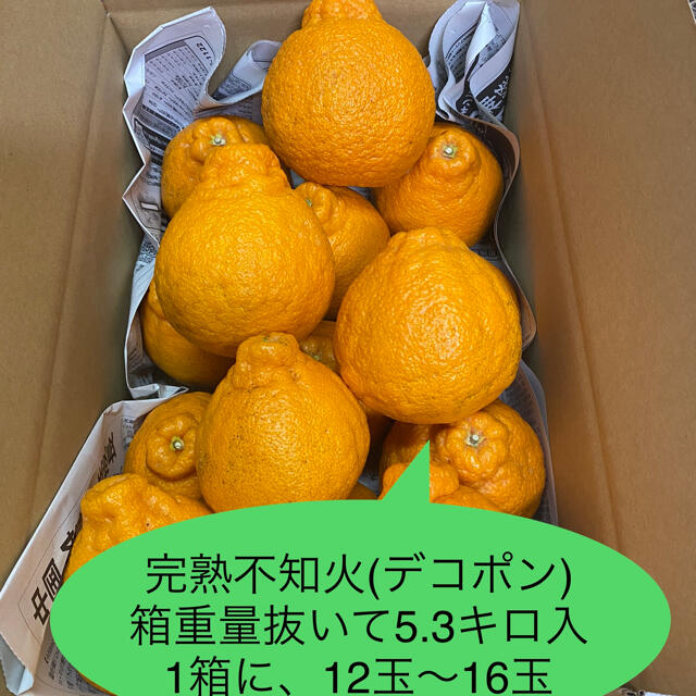 発祥の地直送！ハウス栽培、完熟デコポン、３Ｌ～５Ｌサイズ、５.３キロ！ご家庭用！ 食品/飲料/酒の食品(フルーツ)の商品写真