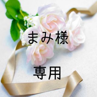 まみ様専用  お米　令和２年　愛媛県産コシヒカリ　玄米　20㎏(米/穀物)
