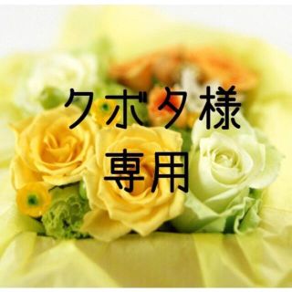 クボタ様専用  お米　令和２年　愛媛県産ヒノヒカリ　玄米　30㎏(米/穀物)