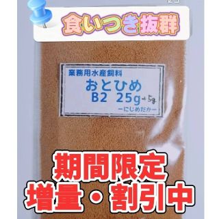 めだか、金魚、グッピーの餌に！日清丸紅飼料　おとひめ 餌 B2　30g(ペットフード)