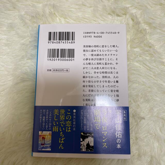 桜のような僕の恋人 エンタメ/ホビーの本(文学/小説)の商品写真