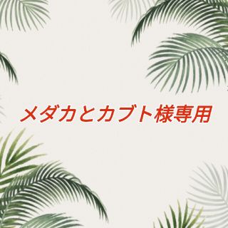 メダカとカブト様専用　クリップチューナー　他2点(アコースティックギター)