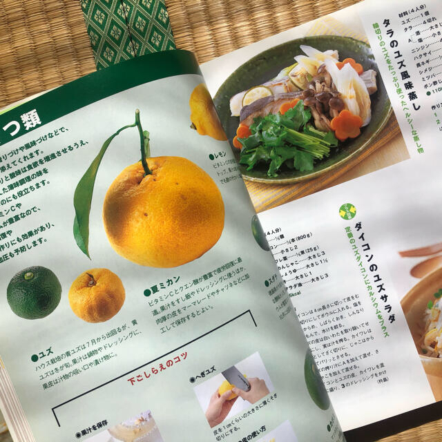 主婦と生活社(シュフトセイカツシャ)の野菜のおかず大百科　料理レシピ本　食材　家庭料理 エンタメ/ホビーの本(料理/グルメ)の商品写真