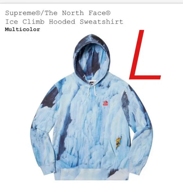 Supreme The North Face Ice Climb Hooded