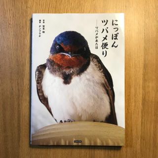 にっぽんツバメ便り ツバメが来た日(人文/社会)