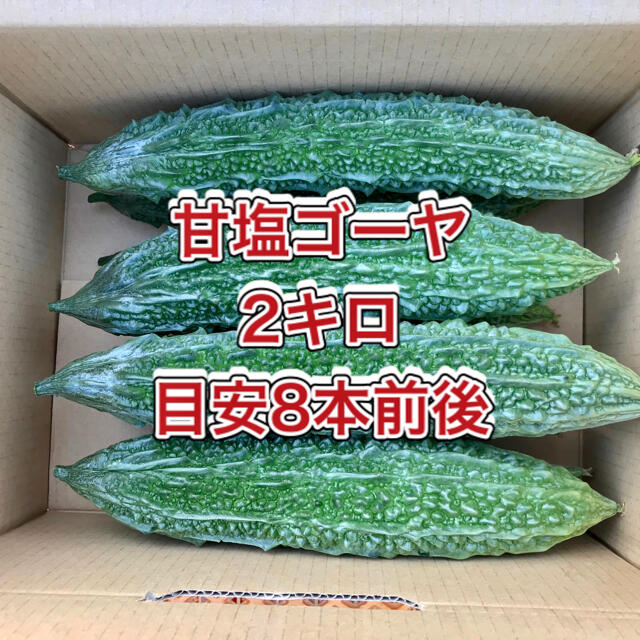 【鹿児島産】甘塩ゴーヤ箱込み2キロ^_^ 食品/飲料/酒の食品(野菜)の商品写真