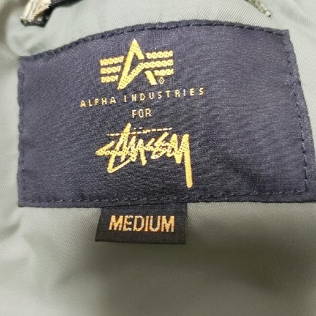 STUSSY(ステューシー)のSTUSSY　ダウン メンズのジャケット/アウター(ダウンジャケット)の商品写真