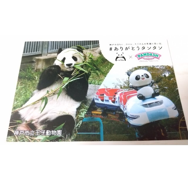 新品未使用☆タンタングッズ パンダ 王子動物園の通販 by たま 新品未使用☆タンタングッズ パンダ 王子動物園の通販 by たま