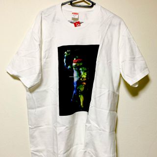 シュプリーム(Supreme)の値下げ！supreme シュプリーム Tee rafael M size(Tシャツ/カットソー(半袖/袖なし))