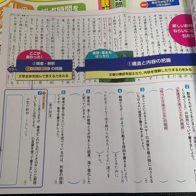 小学5年 1学期 カラーテスト 国語 算数 理科 英語 社会 テストの 小学5年 1学期 カラーテスト 国語 算数 理科 英語 社会 テストの