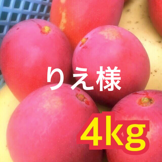 宮崎県産 完熟マンゴー 自家用 4kg食品