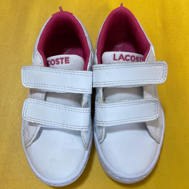 LACOSTE(ラコステ)のラコステ　スニーカー キッズ/ベビー/マタニティのキッズ靴/シューズ(15cm~)(スニーカー)の商品写真