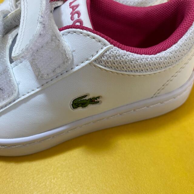 LACOSTE(ラコステ)のラコステ　スニーカー キッズ/ベビー/マタニティのキッズ靴/シューズ(15cm~)(スニーカー)の商品写真