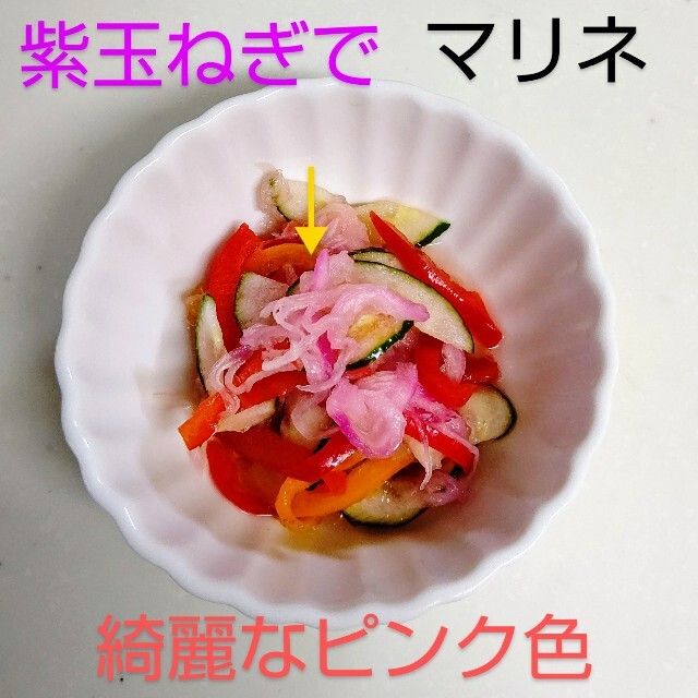 乾燥野菜  お野菜ミックス & 赤玉ねぎ きゅうり セット 食品/飲料/酒の食品(野菜)の商品写真