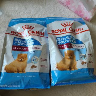 ロイヤルカナン(ROYAL CANIN)のロイヤルカナン ミニインドアパピー(ペットフード)