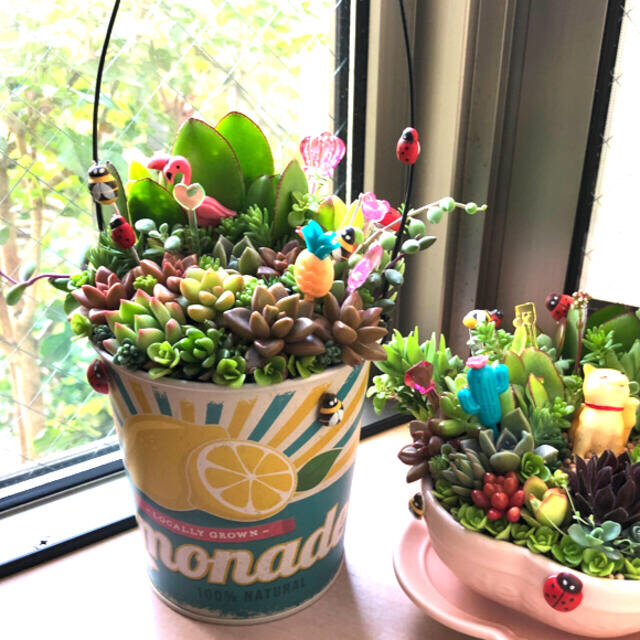 多肉植物❤︎寄せ植え❤︎このまま飾れます❤︎レモン缶♪🍋 ハンドメイドのフラワー/ガーデン(その他)の商品写真