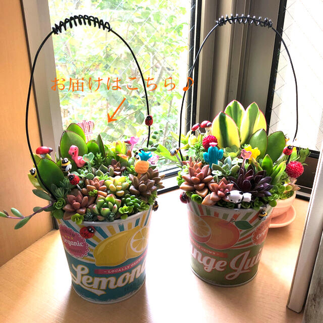 多肉植物❤︎寄せ植え❤︎このまま飾れます❤︎レモン缶♪🍋 ハンドメイドのフラワー/ガーデン(その他)の商品写真