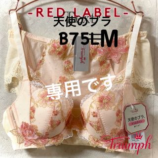 トリンプ(Triumph)のトリンプ PREMIUM RED LABEL 天使のブラ スリムライン B75M(セット/コーデ)