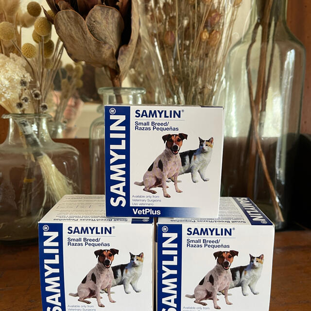 SAMYLIN SMALLの通販 by 山おじさん's shop|ラクマ
