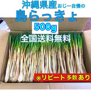 500g➕増量　沖縄県産　島らっきょう(野菜)