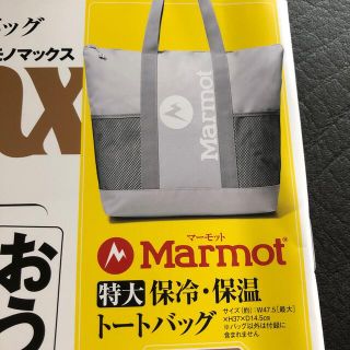 マーモット(MARMOT)の特大保冷・保温トートバッグ(トートバッグ)