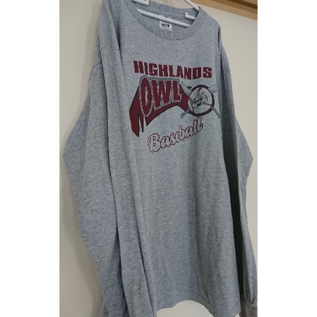 GILDAN(ギルタン)のFRUITOFTHELOOM HIGHLANDS OWL ロンT US古着 メンズのトップス(Tシャツ/カットソー(七分/長袖))の商品写真