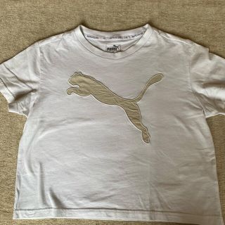 プーマ(PUMA)のpuma Tシャツ白　ホワイト(Tシャツ(半袖/袖なし))