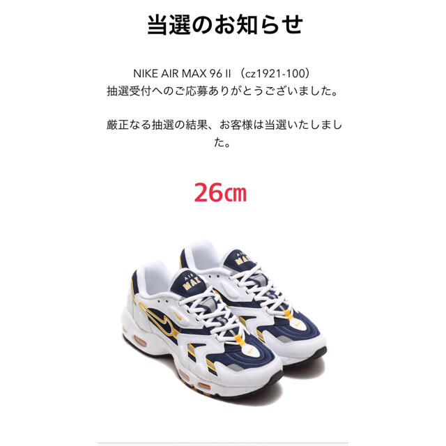 NIKE AIR MAX 96 Ⅱ エアマックス smoke grey靴/シューズ