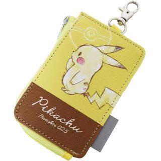 ポケットモンスター ピカチュー 定期入れ カードケース リール付き★新品(定期入れ)