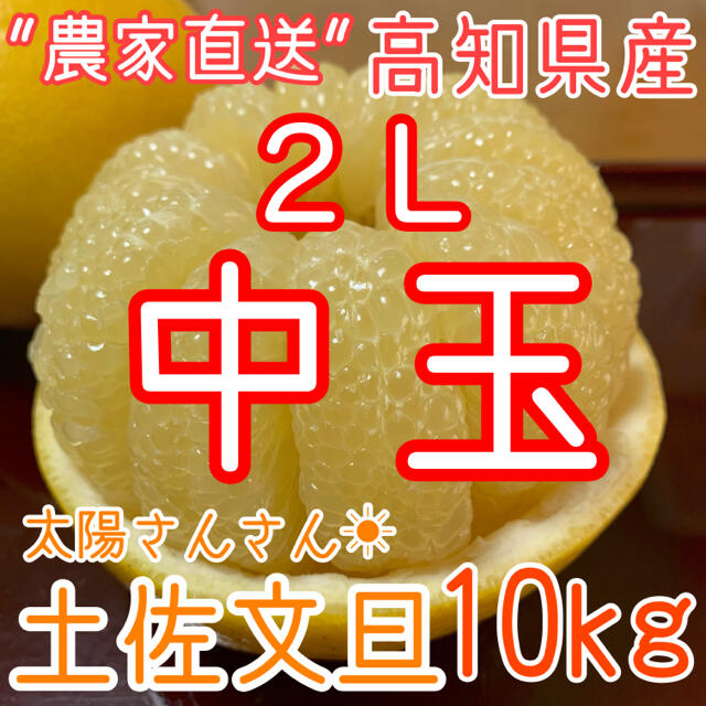 高知県産 土佐文旦 ぶんたん 10kg 食品/飲料/酒の食品(フルーツ)の商品写真
