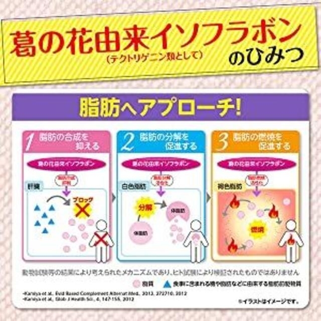 お徳用 日本薬健 葛花茶 くずの花茶 50袋入りの通販 By アオリ Shop ラクマ お徳用 日本薬健 葛花茶 くずの花茶 50袋入りの通販 By アオリ Shop ラクマ