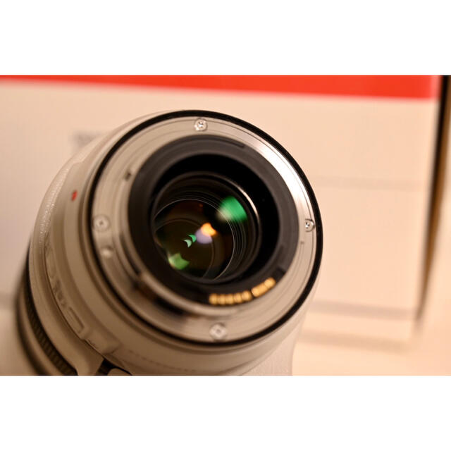 【美品】Canon EF70-300mm f4-5.6L IS USM 5