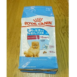 ロイヤルカナン(ROYAL CANIN)のロイヤルカナン ★ ミニ インドア パピー 2kg(ペットフード)