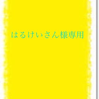 アーカー(AHKAH)の【30分限定値下げ】【新品同様】k10 ダイヤモンド　ネックレス(ネックレス)