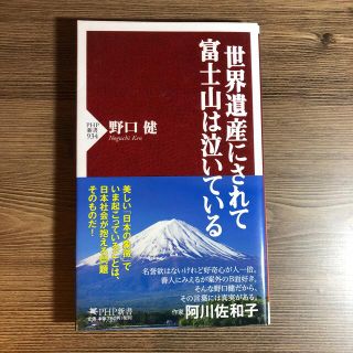 世界遺産にされて富士山は泣いている(文学/小説)